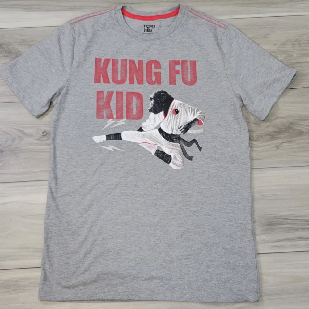 Spotted Zebra T-Shirt Boys 2XL Gray Kung Fu Kid: NEW